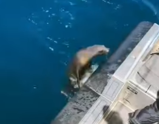 E0101002 Confianza reconstruida, esperanza restaurada.