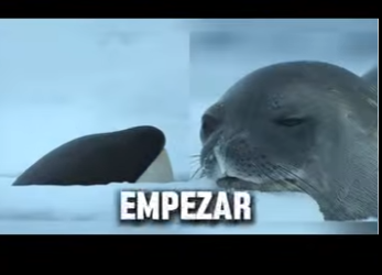 E0101019 La naturaleza habla a través de los animales.