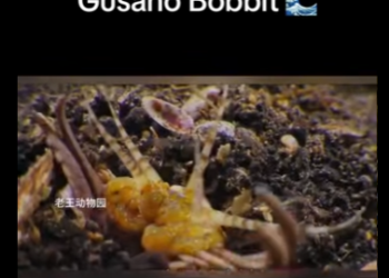 E0101014 El equilibrio de la naturaleza es perfecto.