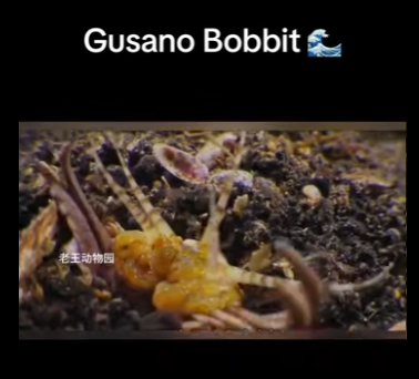 E0101014 El equilibrio de la naturaleza es perfecto.