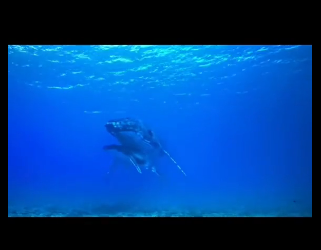 E0101011 Por eso rescatamos.