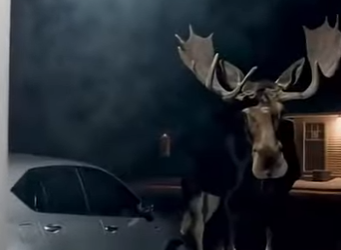 G0101003 Los Animales Más Grandes Jamas (Parte 2)