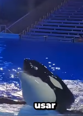 G0101021 Datos de Animales que No te (Parte 2)