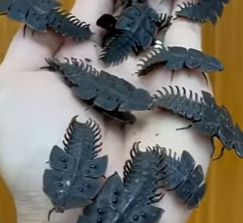 G0101013 Animales que Vas Descubrir Hoy (Parte 2)