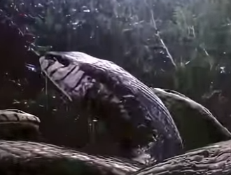 G0101011 Animales Peligrosos que ya No (Parte 2)