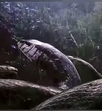 G0101011 Animales Peligrosos que ya No (Parte 2)