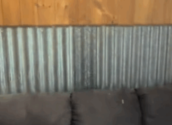 R0102003 Rescate de Zarigüeyas (Parte 2)