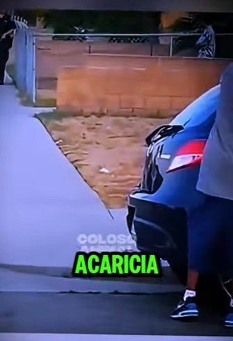 V0304005 EL PERRO QUE LUCHÓ POR SU DUEÑO HASTA EL FINAL (Parte 2)