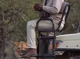 G0101016 Encuentros con Animales muy (Parte 2)