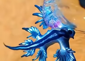 G0101009 Personas que se Jugaron la Vida con estos (Parte 2)