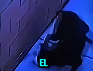 V0304004 ROTWEILER ATACA GATO DUEÑO LO FELICITA (Parte 2)