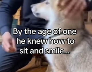 Z2912018 Part can believe she brought another (Part 2)