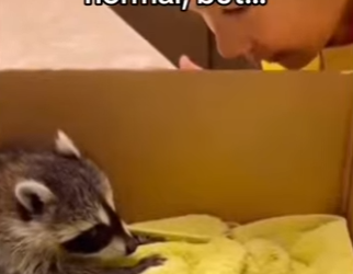 Z2912015 Does mean we have to keep her (Part 2)