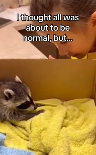 Z2912015 Does mean we have to keep her (Part 2)