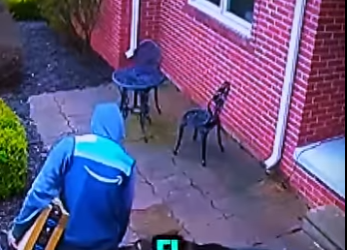 V0304002 PERRO GIGANTE ATACA UN HOMBRE MISTERIOSO (Parte 2)