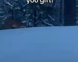 Z2912001 He knew help! (Part 2)