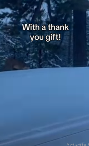 Z2912001 He knew help! (Part 2)