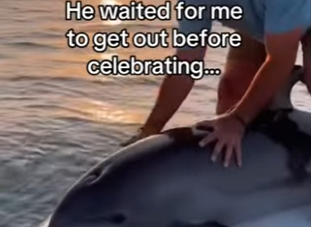 Z2912003 We have to protect our planet (Part 2)