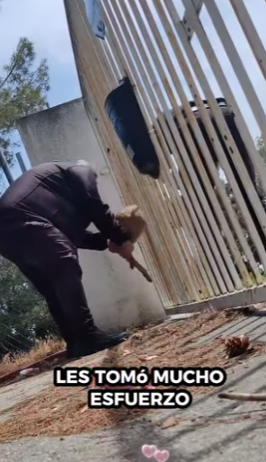 Rescate de ciervos (Part 2)