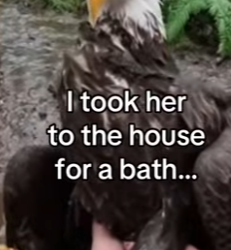 Z0101014 Every life deserves a second chance (Part 2)