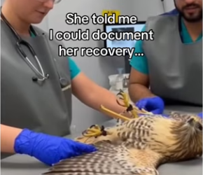 Z0101013 Saved because someone showed up.