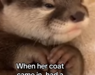 Z0101011 One rescue at a tim (Part 2)