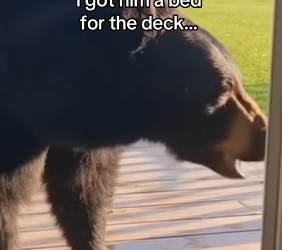 Z0101004 Life begins again here (Part 2)