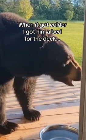 Z0101004 Life begins again here (Part 2)