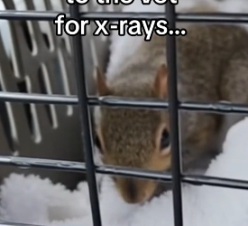 Z0101006 Protected by kindness (Part 2)