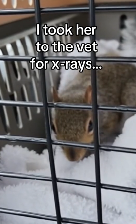 Z0101006 Protected by kindness (Part 2)