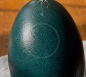 Z0101007 Compassion creates real change (Part 2)