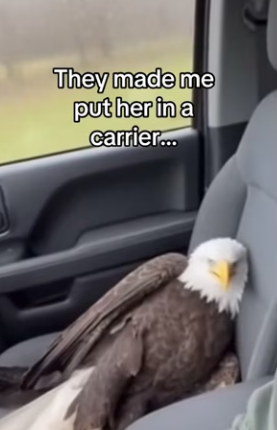 Z0101022 From fear to freedom (Part 2)