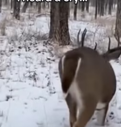 Z0101019 A heart saved today.