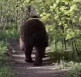 Z0101016 Another innocent soul saved.