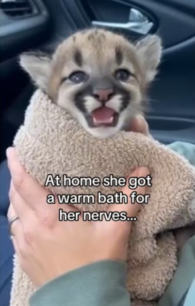 Z0101005 This is why we rescue (Part 2)