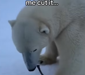 Z0101023 Another chance at happiness (Part 2)