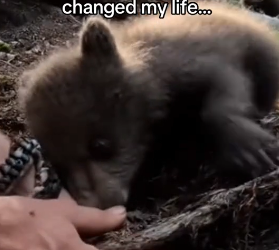 Z0101009 Safe, warm, and loved (Part 2)