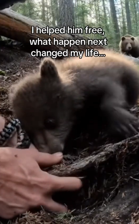 Z0101009 Safe, warm, and loved (Part 2)