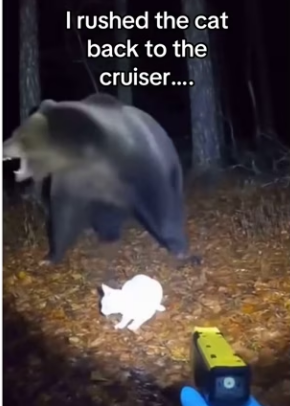 Z0101017 A brave rescue moment (Part 2)