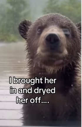 Z0101024 From darkness into light (Part 2)