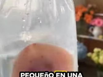 R0101023 Salvar a las mantarrayas (Parte 2)