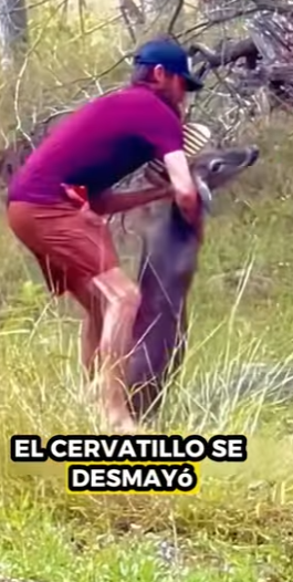 R0101003 Rescatar al ciervo (Parte 2)