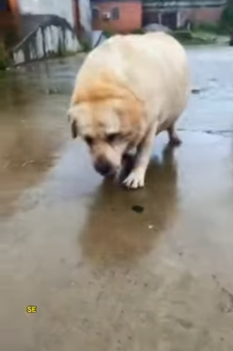 A3112027 La bondad salvó esta vida (Parte 2)