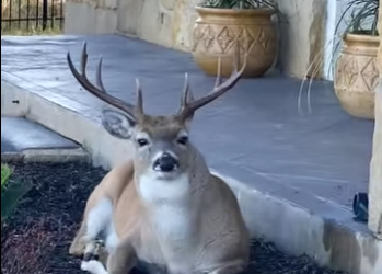 A3112016 De la oscuridad a la luz (Parte 2)