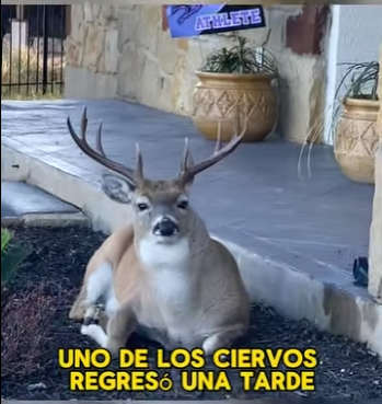 A3112016 De la oscuridad a la luz (Parte 2)