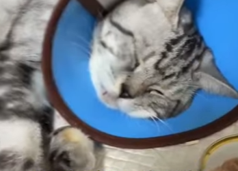 A3112005 La bondad lo cambió todo.