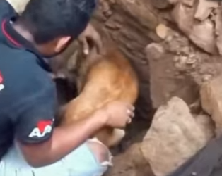 A3112026 Escuchamos el grito silencioso.