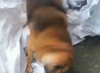 A3112025 Una vida protegida es una victoria.