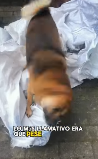 A3112025 Una vida protegida es una victoria.