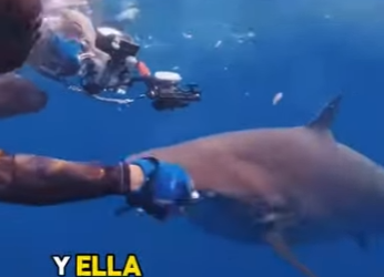 A3112014 Este rescate cambió su destino (Parte 2)